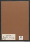 Cystopleura ? monilifera (Petit.) (de-Toni-Nr.: Genus 103, Species 3641) Zeichnungen Sammlung Grunow Mappe 03380 (Herbarium_W_Grunow_drawings_Folder_03380)